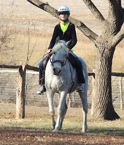 Shadenn ( Shaikh Al Badi x El Sharie )